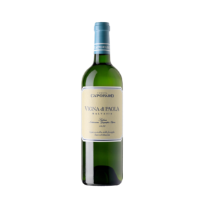 Vigna di Paola Tasca d'Almerita 2020