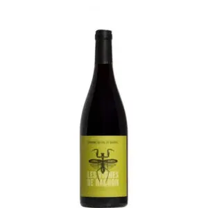 Domaine Du Val de Bargis Les Vignes De Rachon Rouge 2019