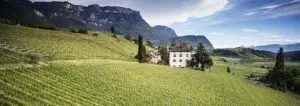 Vini Alto Adige