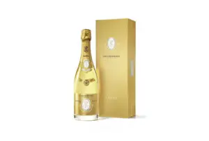 Bottiglieria del Massimo: Il Tuo Champagne Bar a Palermo 🍾️