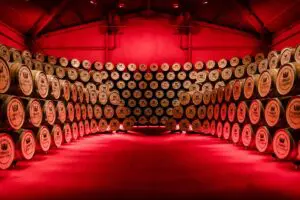 Botti di Rum in distilleria