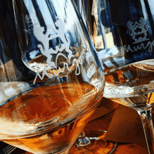 vini Murgo
vini Etna
vini siciliani
spumante Murgo
Murgo Brut 2023
Murgo Etna Bianco
vini vulcanici
vini biologici Sicilia
compra vino online
vino italiano di qualità