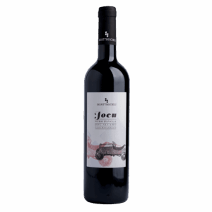 Quattrocieli Jocu Nero d’Avola DOC Alcamo Biologico 2023