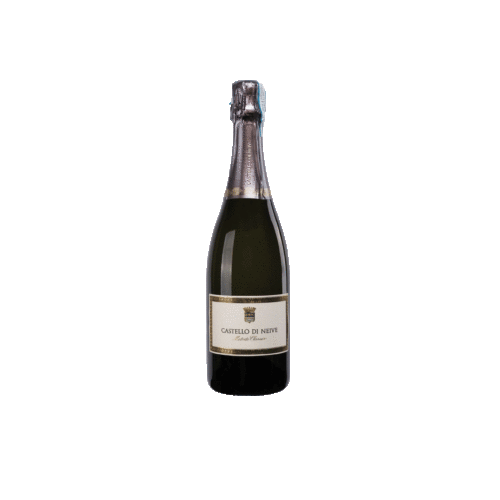 Castello Di Neive Piemonte Doc Spumante Metodo Classico Pinot Nero 2019